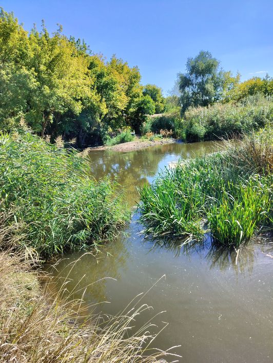 Любомирка, водяний  млин 