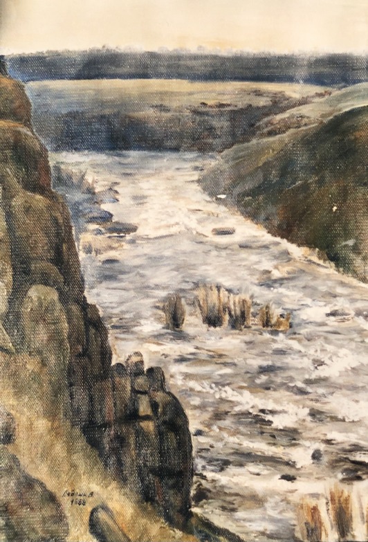 Каньйон Південного Бугу