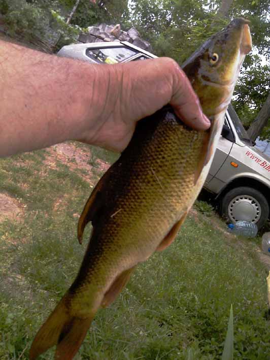 hand Fishing