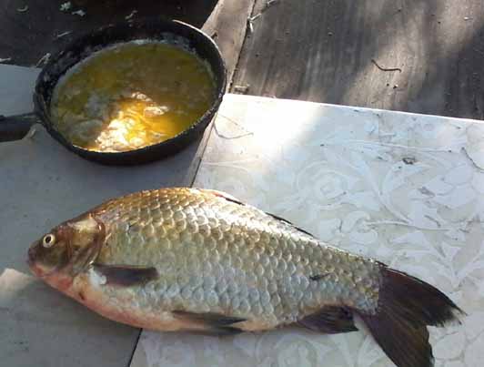 hand Fishing