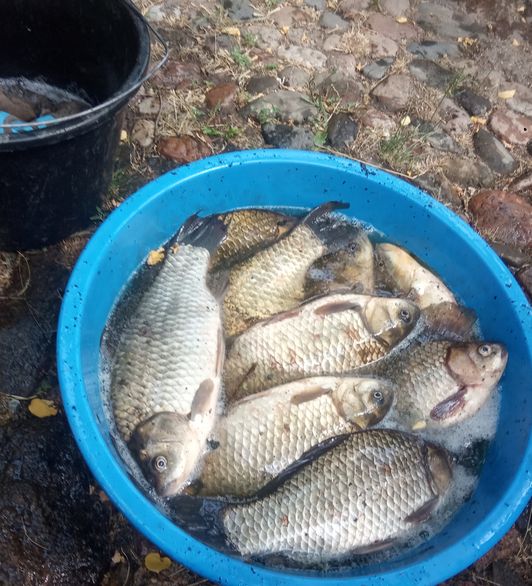 Мануальный фишинг - самая честная рыбалка. Ловим своими руками hand Fishing