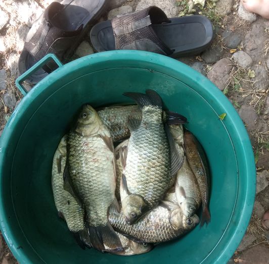 Мануальный фишинг - самая честная рыбалка. . Ловим своими руками hand Fishing