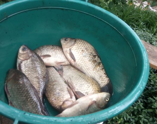 Мануальный фишинг - самая честная рыбалка. Ловим своими руками hand Fishing