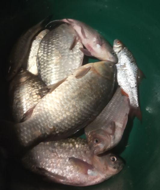 Мануальный фишинг - самая честная рыбалка. Ловим своими руками hand Fishing