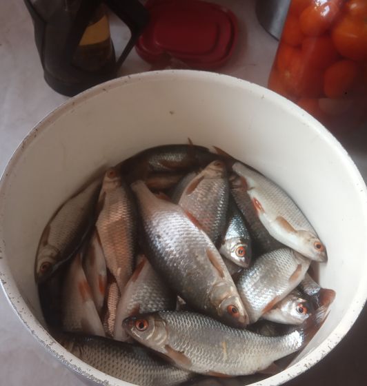 Подледный лов. Мануальный фишинг - самая честная рыбалка. hand Fishing