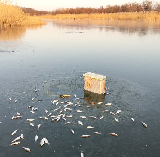 Подледный лов. Мануальный фишинг - самая честная рыбалка. hand Fishing