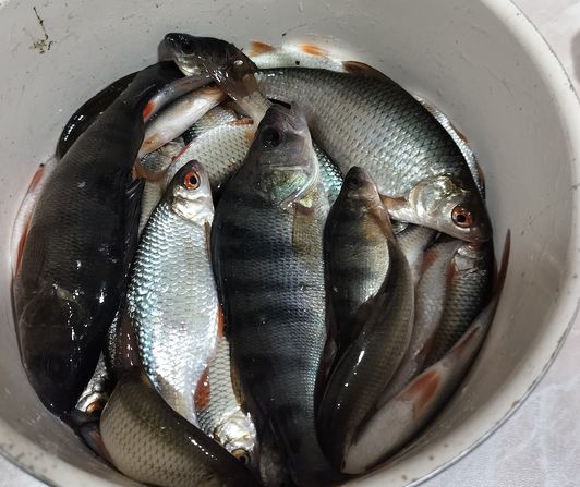 Подледный лов. Мануальный фишинг - самая честная рыбалка. hand Fishing