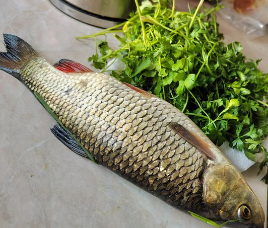пробочка, перекат, голавль hand Fishing