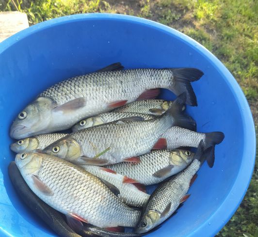 Мануальный и иной фишинг - самая честная рыбалка. hand Fishing