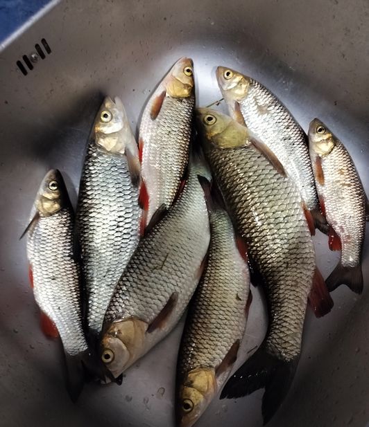 Мануальный и иной фишинг - самая честная рыбалка. hand Fishing