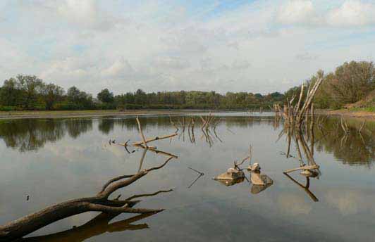 Александровское водохранилище, Ю. Буг