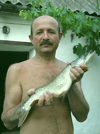 
Здесь водятся щуки