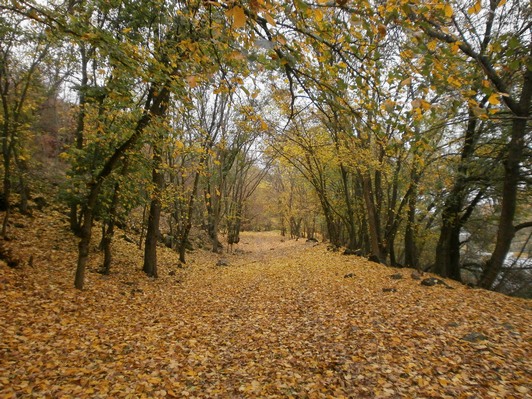 Млин Добровольського, старина. Національный парк Бузький гард